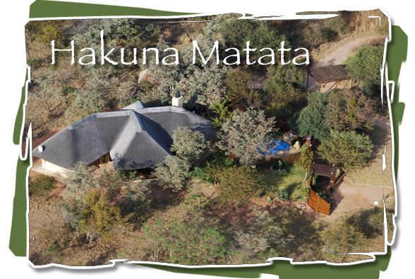 Hakuna Matata